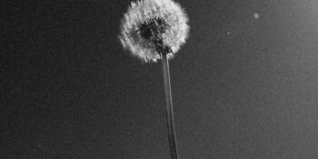 5 lỗi thường gặp khi công chứng giấy tờ và cách tránh